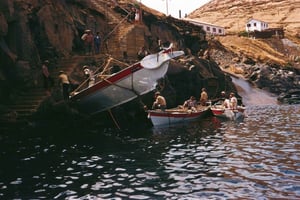 Caniçal: Entrada al Museo de la Ballena de Madeira y visita privada