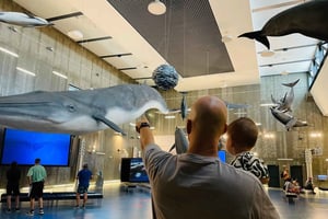 Caniçal : Madeira walvismuseum toegangsbewijs