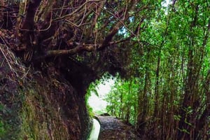 島のレヴァダをリラックスして発見しませんか？