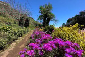 Oplev Paradise Valley - en hurtig flugt for alle