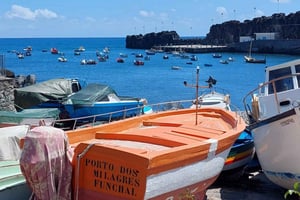 Do Funchal: Passeio 4x4 Guiado pela Floresta dos Eucaliptos