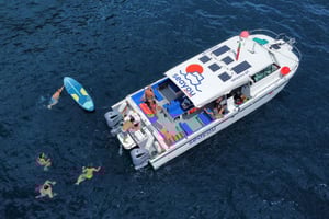 Vanuit Funchal: moderne catamaran-boottocht langs de kust