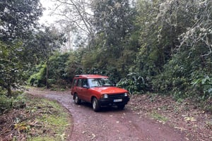 From Funchal: Private Eastern or Western Jeep Tour