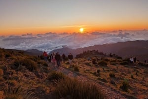 From Funchal: Pico Arieiro Sunrise with Optional Breakfast