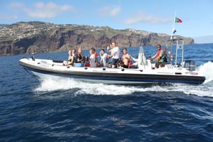 Ab Funchal: Wale und Delfin Abenteuer Tour