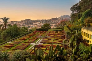 Funchal en Monte Palace Tour: een onvergetelijke ervaring