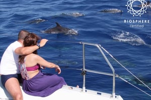 フンシャル：カボ・ジラオン、ワインの試飲、イルカウォッチング