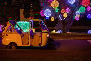 Funchal - Weihnachtslichter mit dem TukTuk (1h)