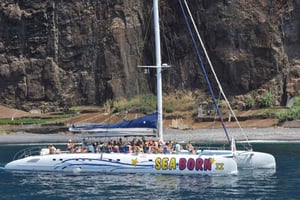 Funchal: Delfin- und Whale-Watching-Katamaranfahrt