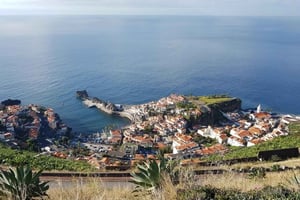 Funchal: Excursão privada de meio dia à Ilha da Madeira Sul