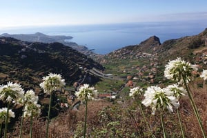 Funchal: Levada do Norte - Geführte Wanderung mit Transfer