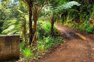 Funchal : Circuit privé personnalisable en 4x4 sur l'île de Madère