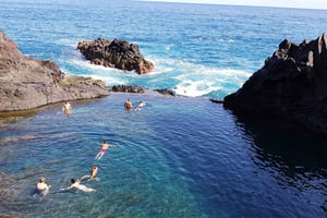 Madeira: Skywalk, Porto Moniz, Seixal und Fanal 4WD Tour