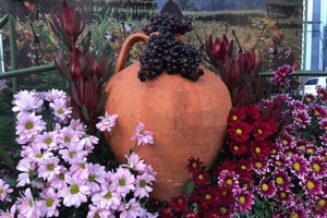 Madera Prywatny 4-osobowy Mercedes VIP