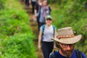 Caminhada guiada na Madeira