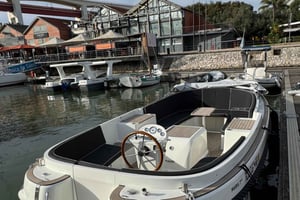 Lisbon Coffee Cruise: Luxury Boat, Pastel de Nata