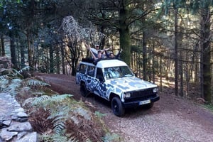 Madeira: 4-stündige Tour mit offenem Jeep im Zentrum von Madeira