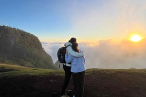 Madeira: 5-dages tur med vandreture, kajaksejlads og lokal mad