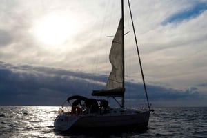 Madeira: 7 tunnin yksityinen purjehdusretki, merieläinten ja rannikon tarkkailu