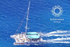 Madeira: Cabo Girão, wijnbelevenis en dolfijnen kijken