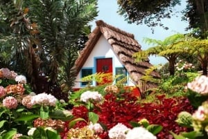 マデイラ島東部ツアーとレヴァダ・ウォーク