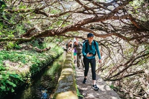 Madeira: Geniet van een wandeling met gids in de vallei van Rabaçal