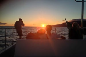 Madeira: Excursión en Catamarán al Atardecer en Funchal