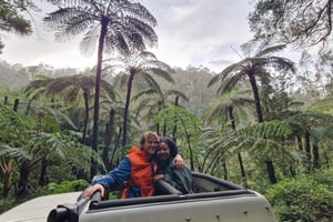 Madeira em um dia: Funchal e Destaques do Leste