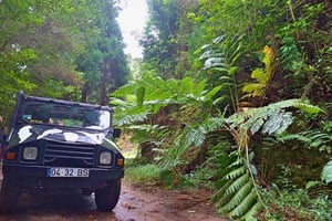 Funchal: Pico do Areeiro naar Santana 4x4 Oost Tour