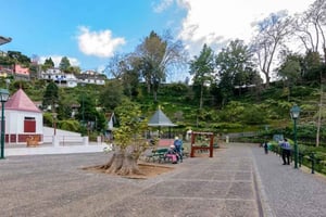Madeira: tuktukritje naar Monte Toboggan of de tropische tuin