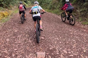 Madeira: Sykkeltur langs nordkysten og skogen