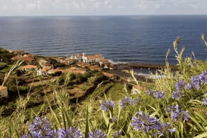 Madeira: rondreis langs de noordkust van het eiland