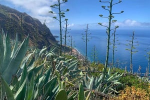 Madeira: Paul do Mar guidet fottur