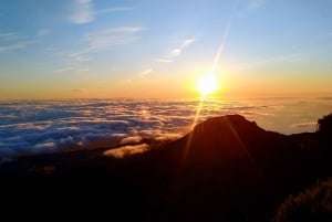 Madeira: Pico Ruivo Opastettu auringonnousuvaellus hotellin noutoineen