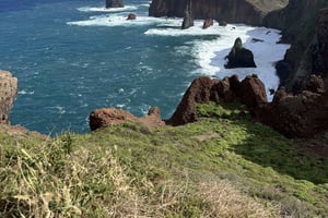 Madeira: Tour zu Ponta de S Lourenço, Santana & Pico do Arieiro
