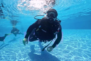 Madeira, Ponta São Lourenço: Tauchen für Anfänger