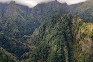 Madeira: Private 1,5-Kilometer-Wanderung auf der Levada dos Balcões PR11