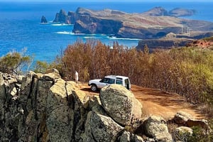 Madeira privé 4x4 tour: Noordoostkust