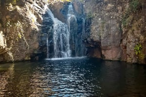 マデイラ島：ガイド付きレバダ・ド・アレクリム・ハイキング（貸切グループ） - P.R. 6.2