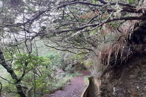 Madeira: privégeleide Levada Ribeiro Frio - Portela-wandeling