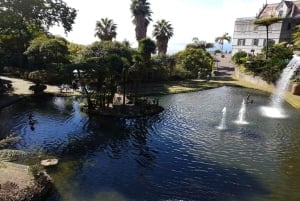 Madeira: Privat halvdags guidad tur i trädgårdarna