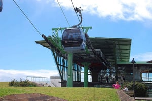 Madeira: tour privado del monte en teleférico con traslado