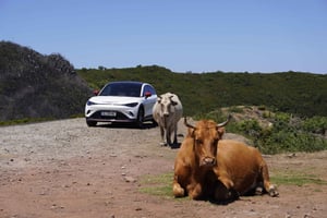 Madera - prywatna ekologiczna wycieczka premium samochodem elektrycznym