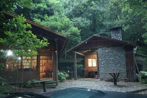 Madera: prywatna wycieczka krajoznawcza dla 1-2 osób