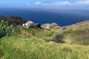 Madeira: privé sightseeingtour voor maximaal 4 personen