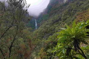 Madera: prywatna piesza wycieczka po Levada das 25 Fontes PR6