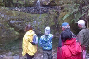 Мадейра: 4-часовая прогулка с гидом от Рибейру-Фрио до Портела