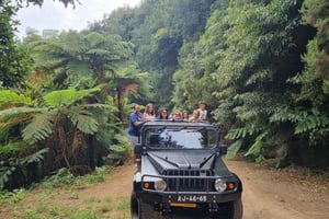 Madeira : Santana, Pico Arieiro, Wanderung Ganztagestour mit dem 4x4 Jeep
