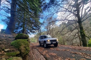 Madeira : SkyWalk, Fanal, Natuurlijke zwembaden 4x4 Jeep Tour