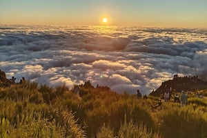 Madeira: Sonnenaufgang-Halbtagestour mit dem Jeep